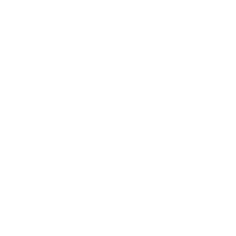 PAGE TOP